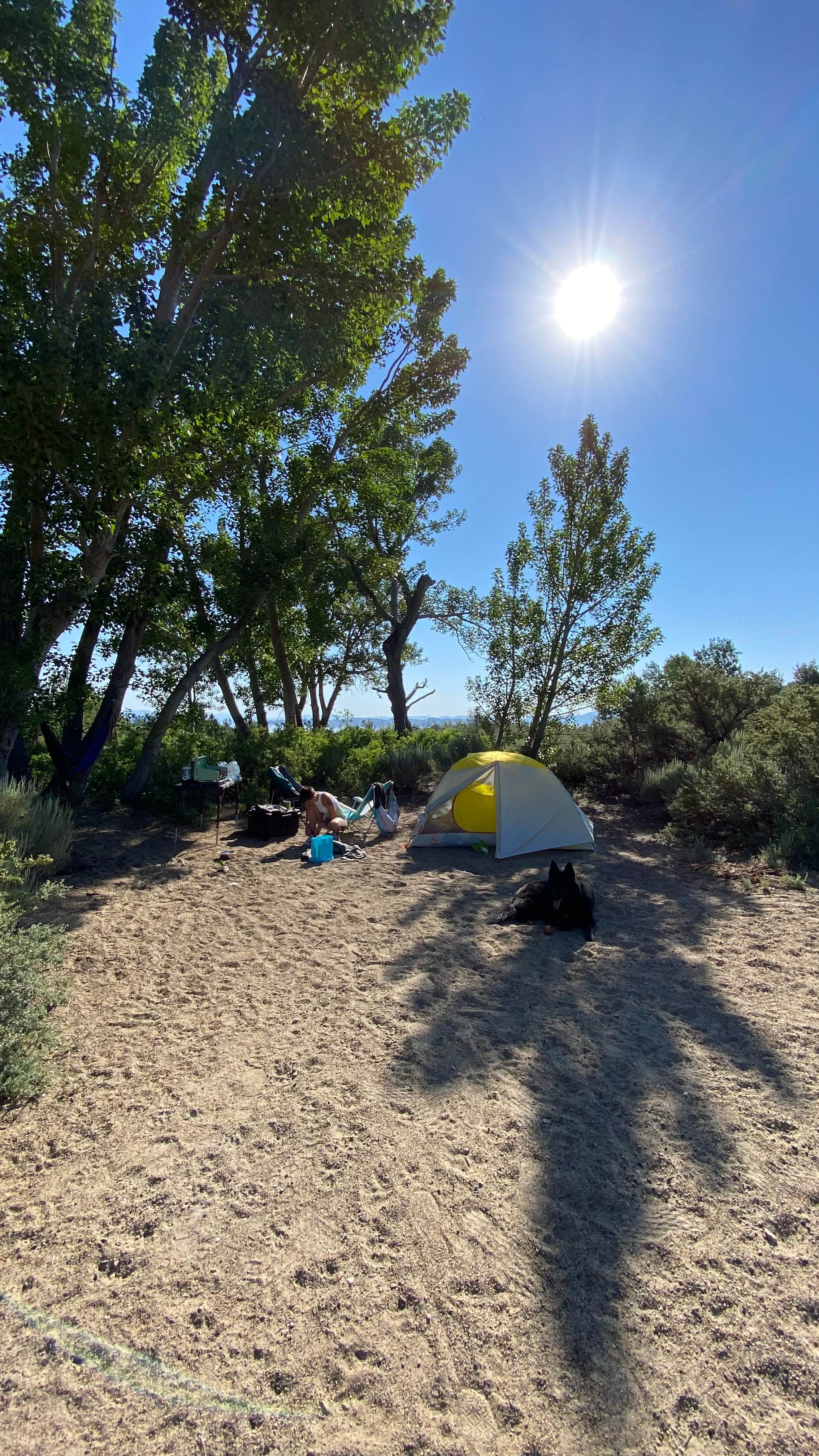 Jared E.'s photo of a dispersed camping area at Mono Lake South Dispersed near Lee Vining, CA