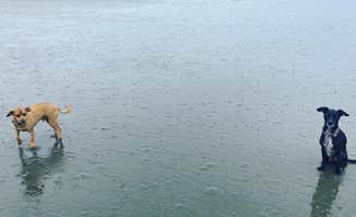 Katie O.'s photo of camping with pets at Copalis Beach RV Resort in Washington