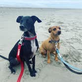 Review photo of Copalis Beach RV Resort by Katie O., July 9, 2021