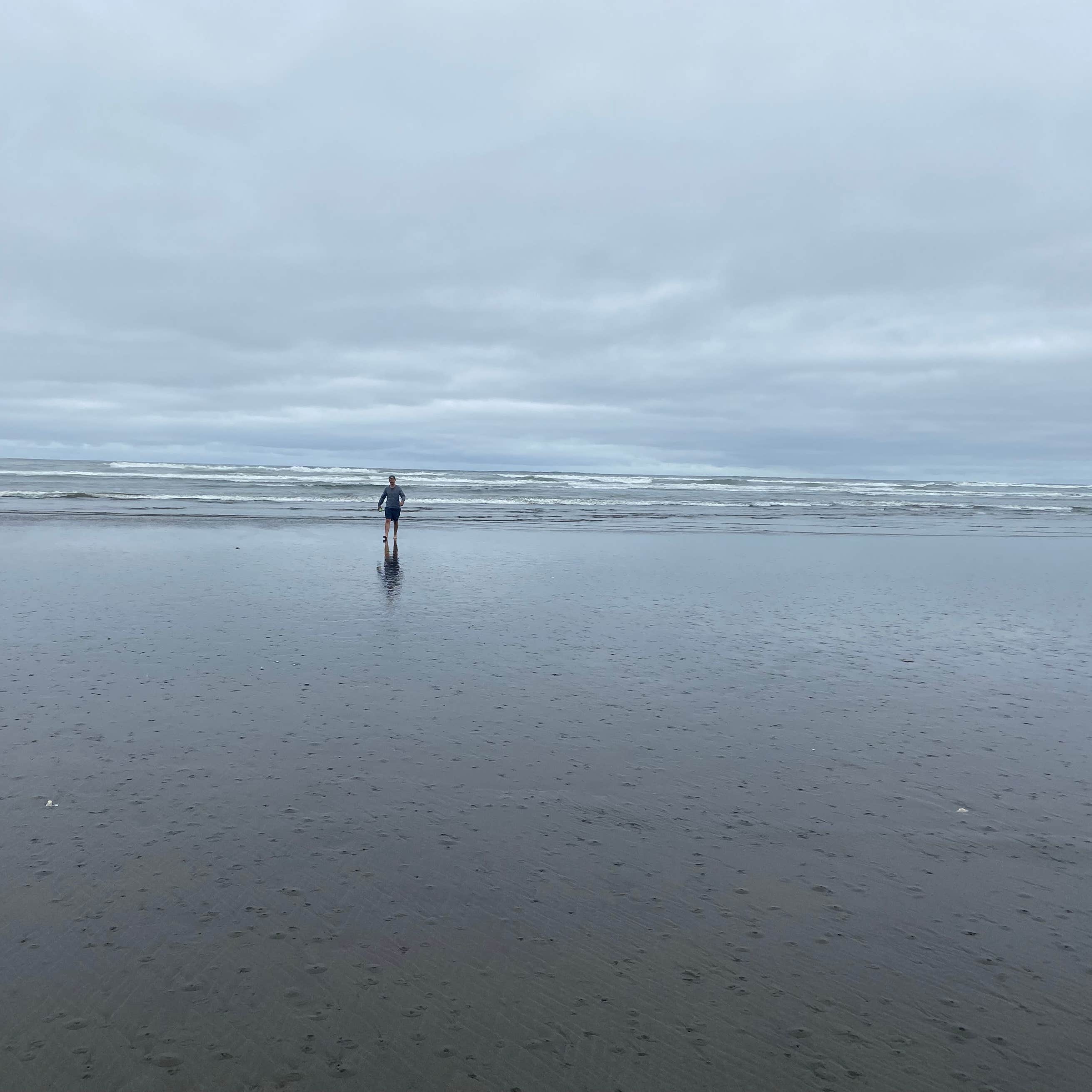 Copalis Beach RV Resort Camping The Dyrt