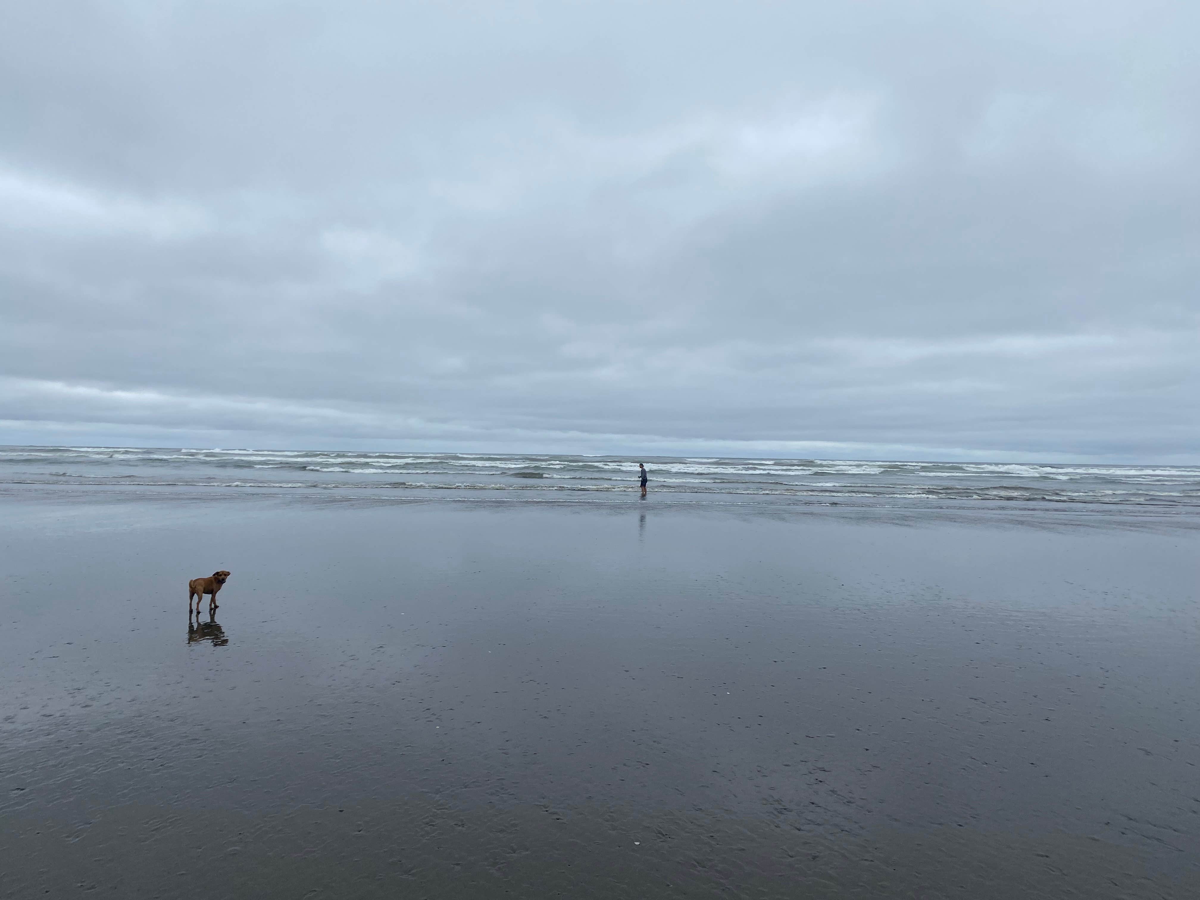 Copalis Beach ResortSunrise Resorts The Dyrt