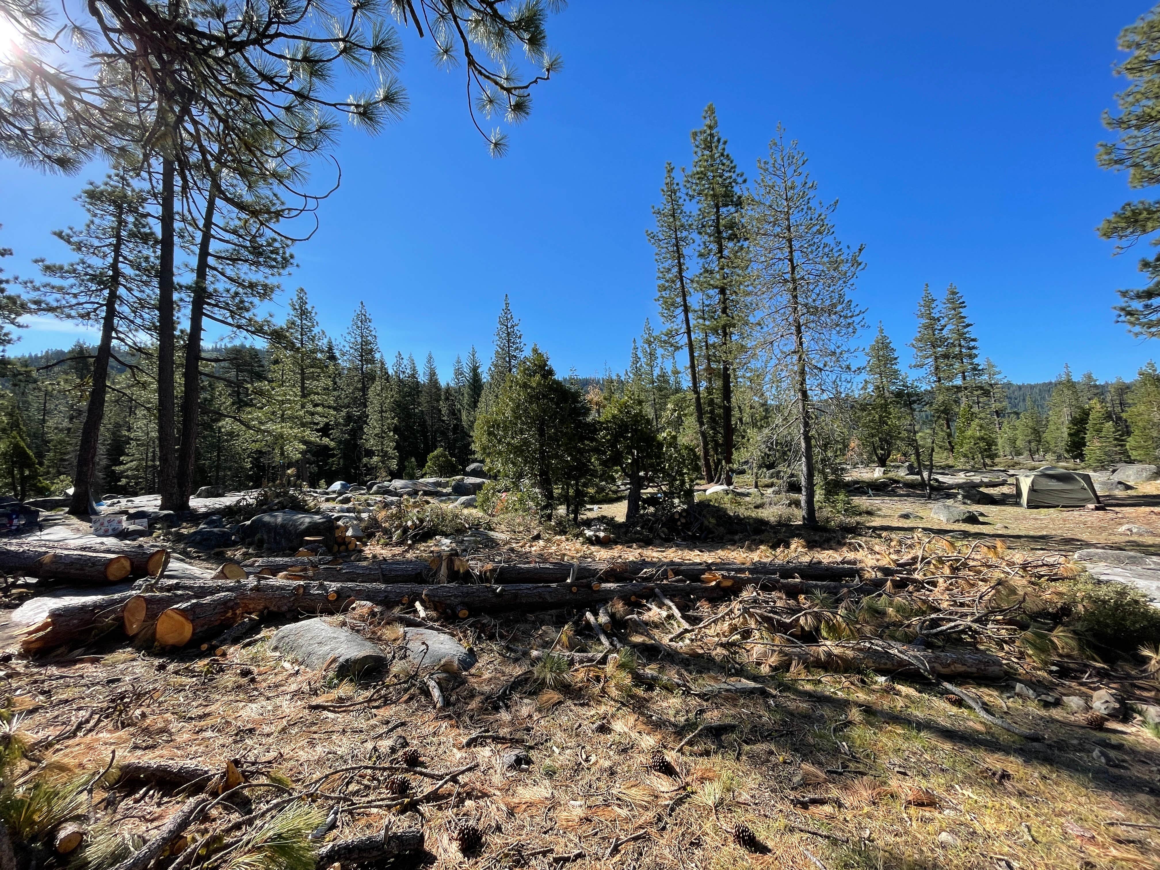 Best camping near Reno, Nevada The Dyrt