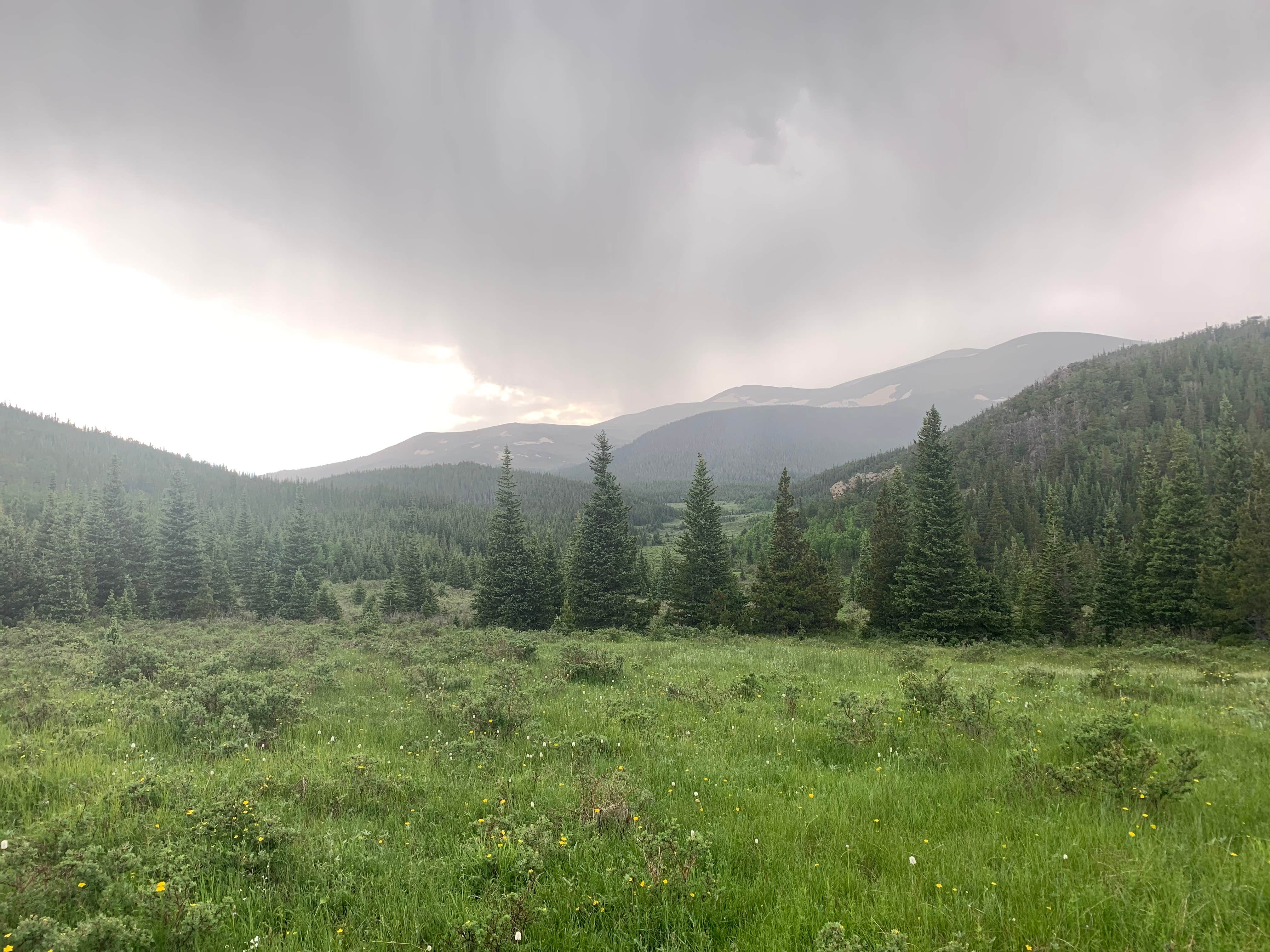 Camping near Rainbow Lakes Wilderness Area: Five Points Dispersed Area, Nederland, Colorado