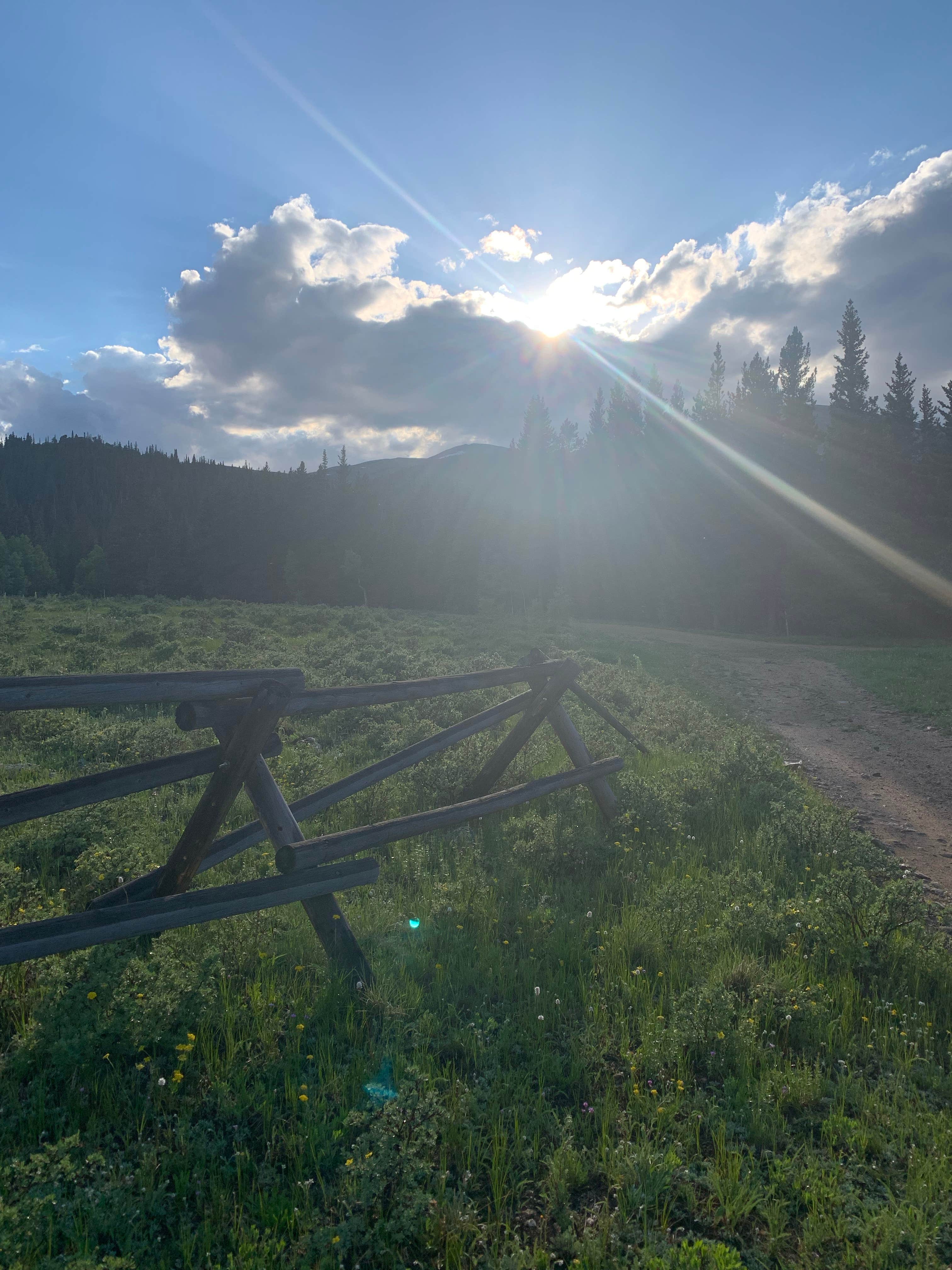 Camper-submitted photo at Five Points Dispersed Area near Rollinsville, CO