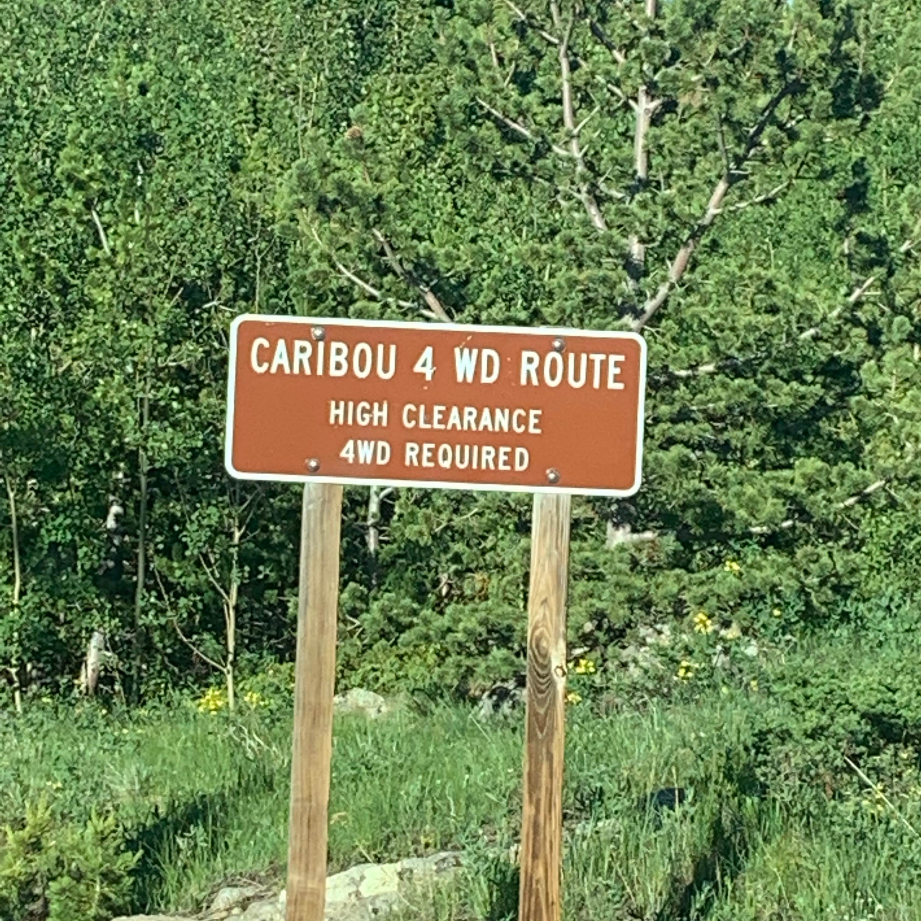 Signs & Maps