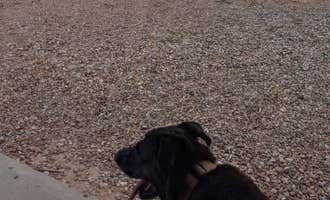 Camping near Mesquite Campground — Sumner Lake State Park: Pecos Campground — Sumner Lake State Park, Fort Sumner, New Mexico