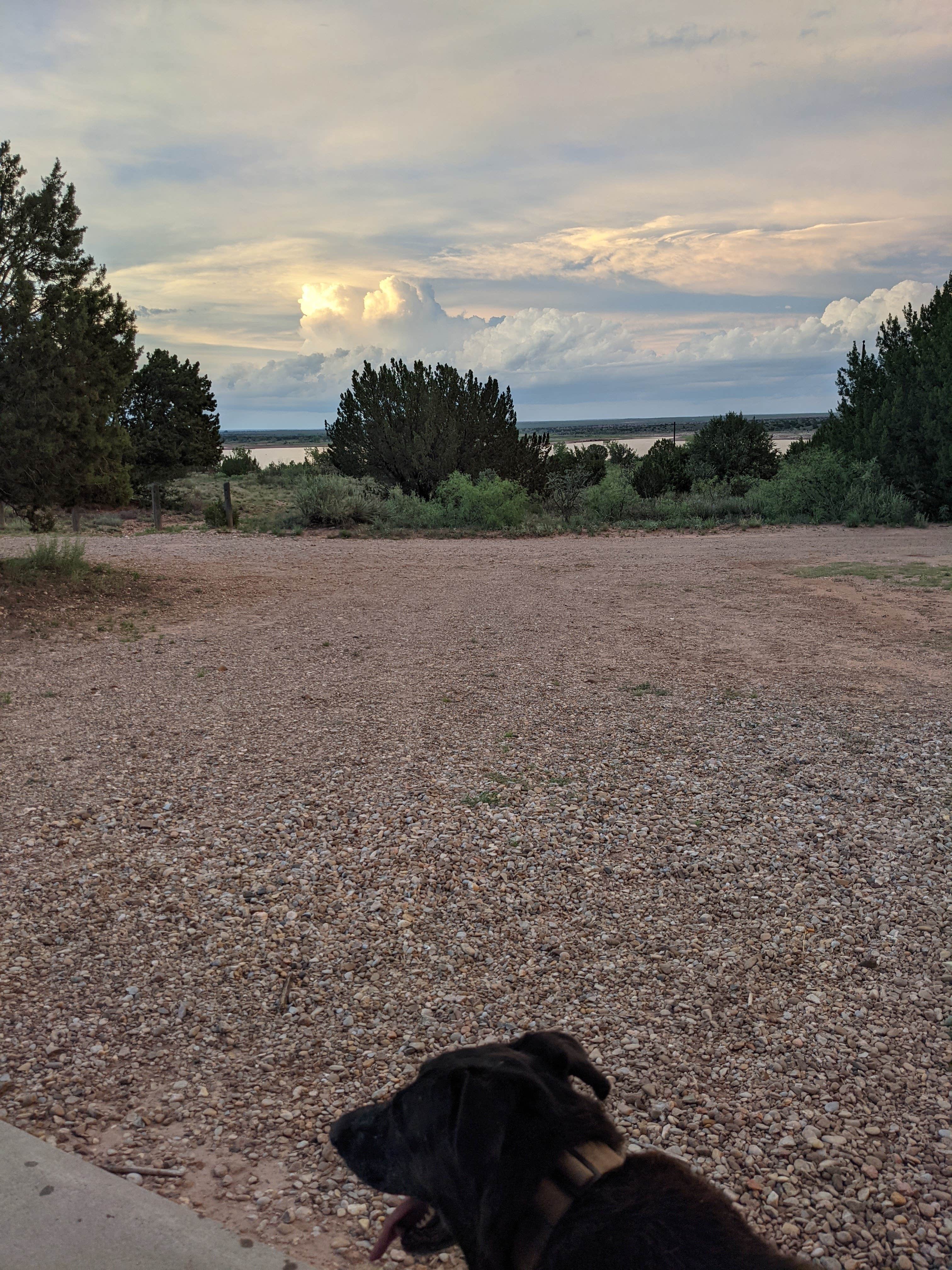 Camper submitted image from Pecos Campground — Sumner Lake State Park - 1