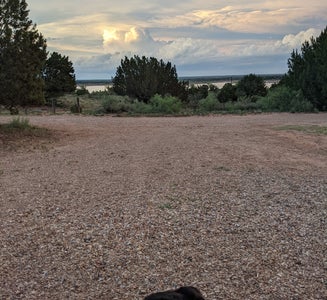 Camper-submitted photo from Pecos Campground — Sumner Lake State Park