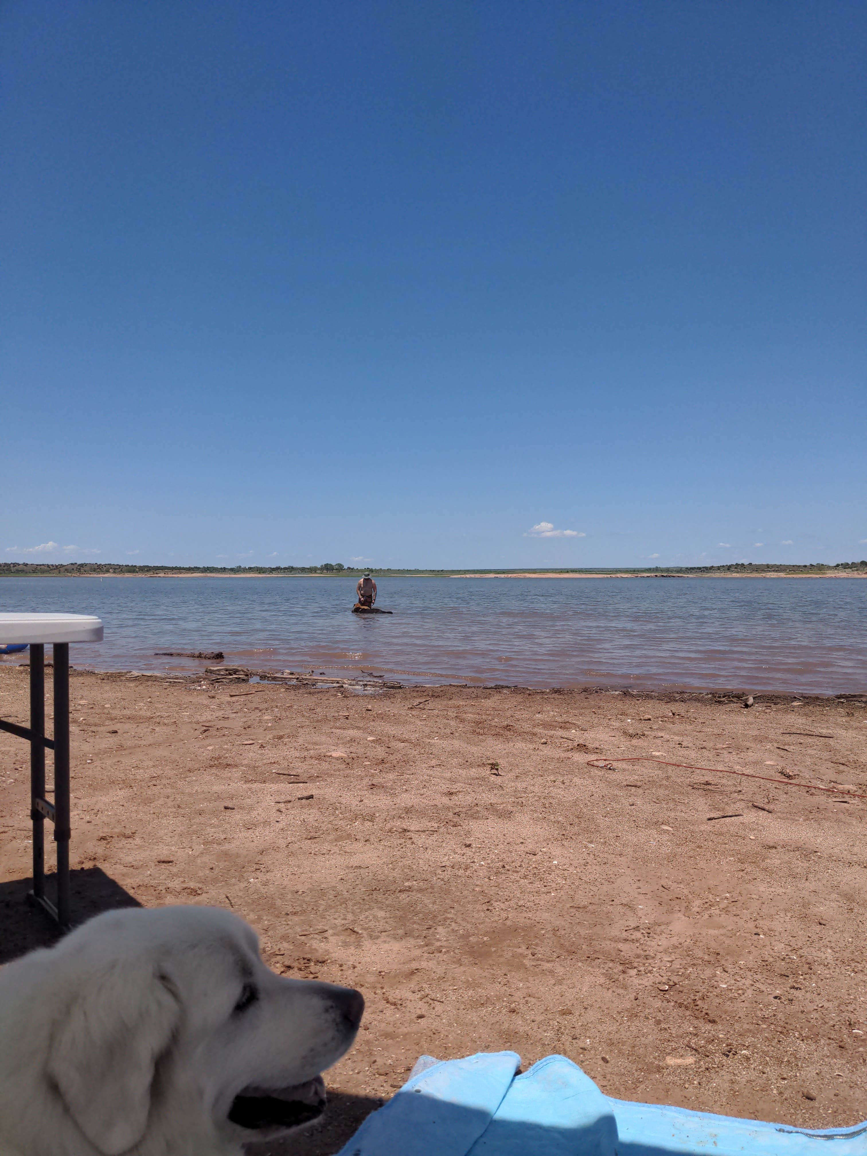Levon's photo of camping with pets at Pecos Campground — Sumner Lake State Park near Santa Rosa, NM