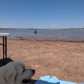 Review photo of Pecos Campground — Sumner Lake State Park by Levon , July 9, 2021