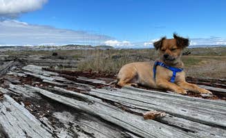 Peggy H.'s photo of camping with pets at Fort Flagler Historical State Park Campground near Oak Harbor, WA