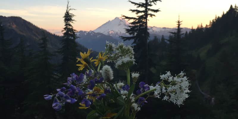 Camper submitted image from Winchester Lake #1