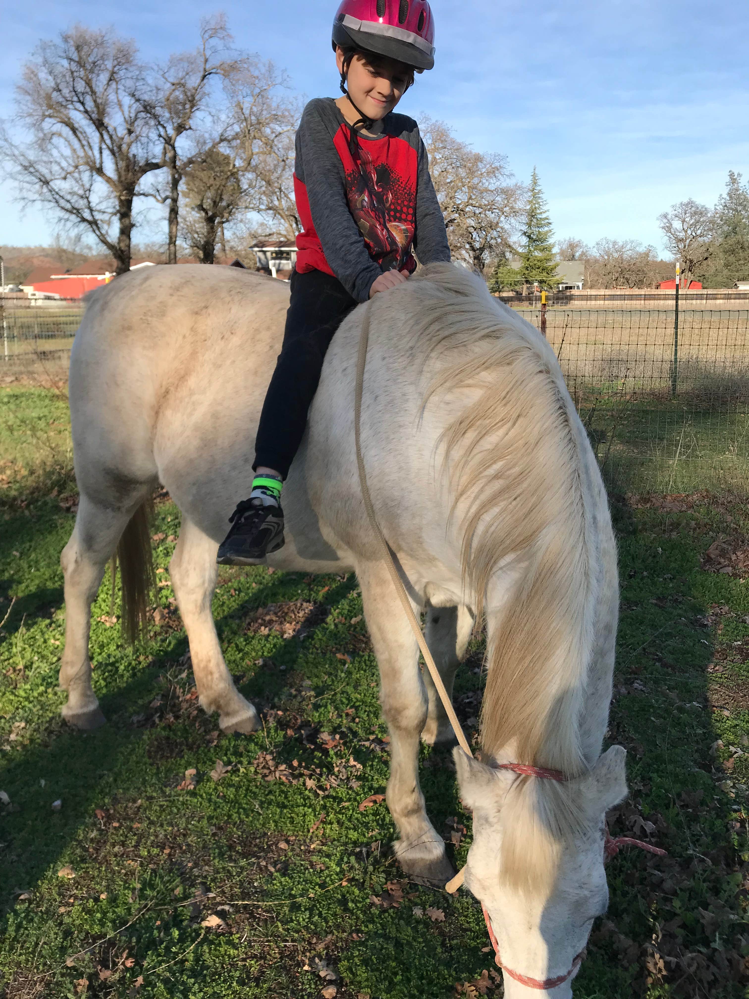 Camper submitted image from Forni Horse Camping - 4