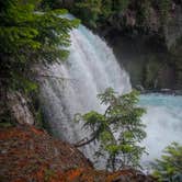 Review photo of Limberlost Campground by Tj B., June 13, 2018