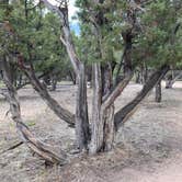 Review photo of Elk Ridge Campground — Ridgway State Park by Luke L., July 9, 2021