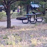 Review photo of Elk Ridge Campground — Ridgway State Park by Luke L., July 9, 2021