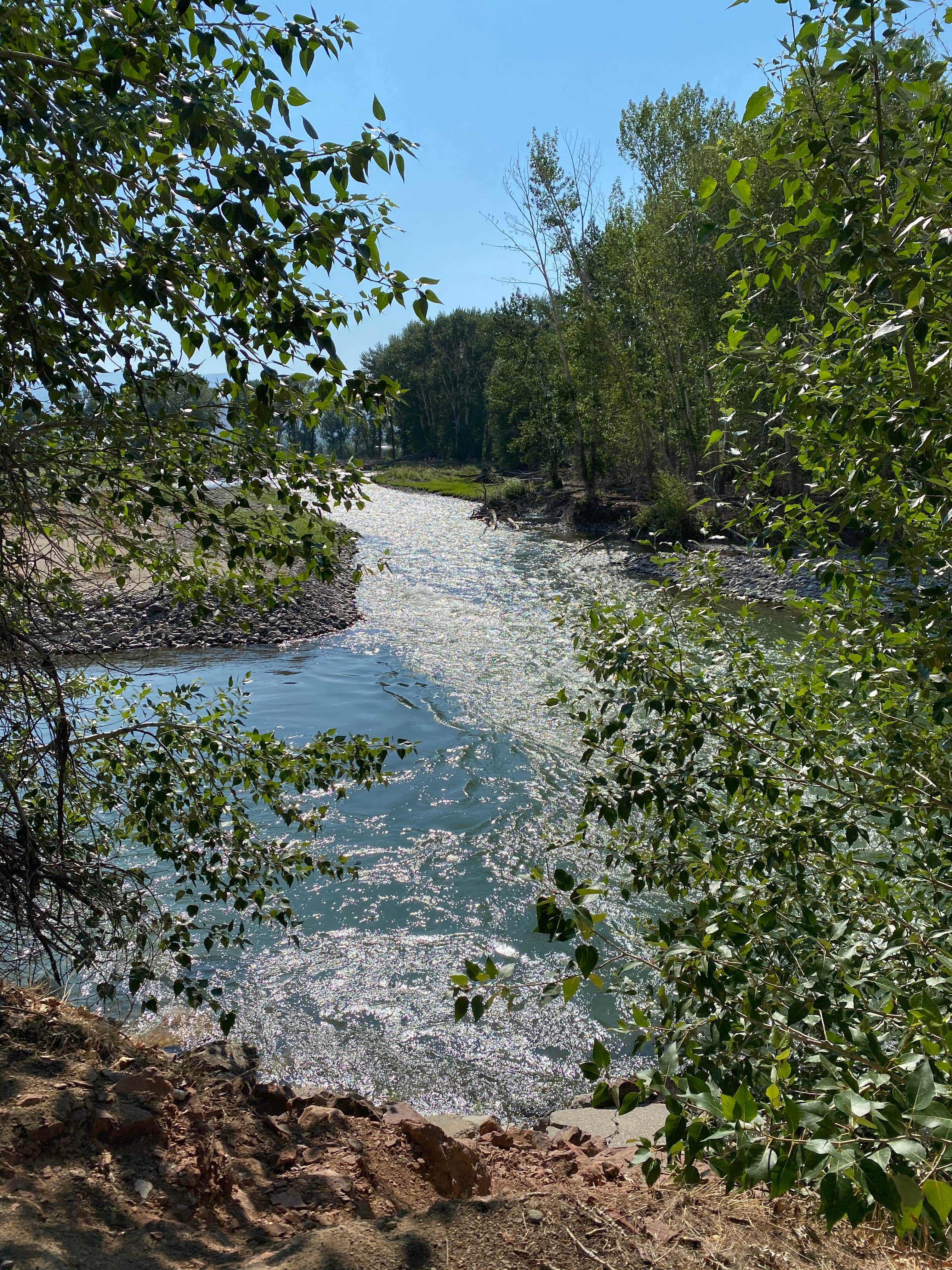 Camper submitted image from Challis Hot Springs - 5