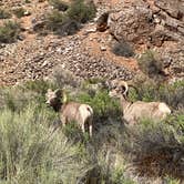 Review photo of Challis Hot Springs by Annie C., July 9, 2021