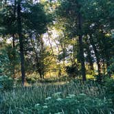 Review photo of Blue Mounds State Park Campground by Tim N., July 9, 2021