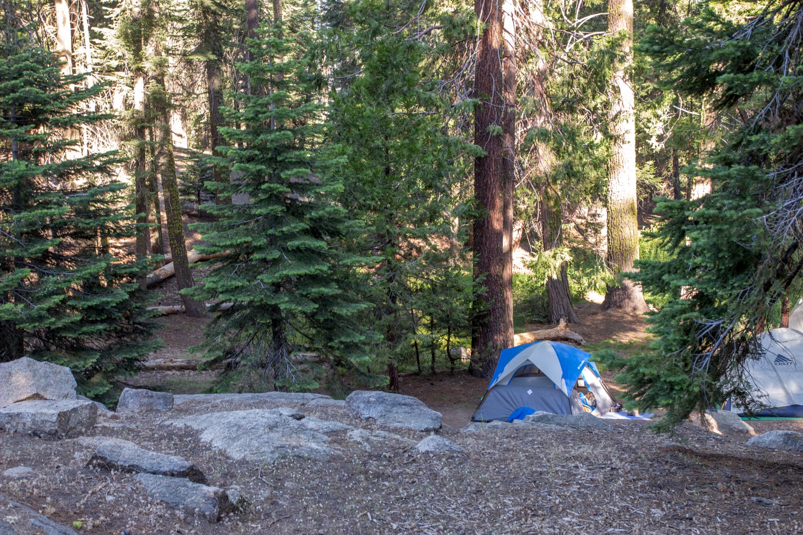 Camper submitted image from Sunset Campground — Kings Canyon National Park - 3