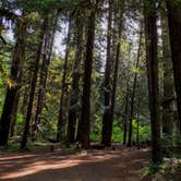 Review photo of Limberlost Campground by Tj B., June 13, 2018