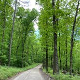 Review photo of COE Lake Ouachita Crystal Springs Campground by Cheri H., July 9, 2021