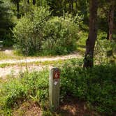 Review photo of Aspen Campground by Dexter I., July 9, 2021