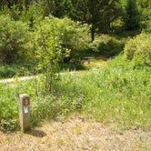 Review photo of Aspen Campground by Dexter I., July 9, 2021