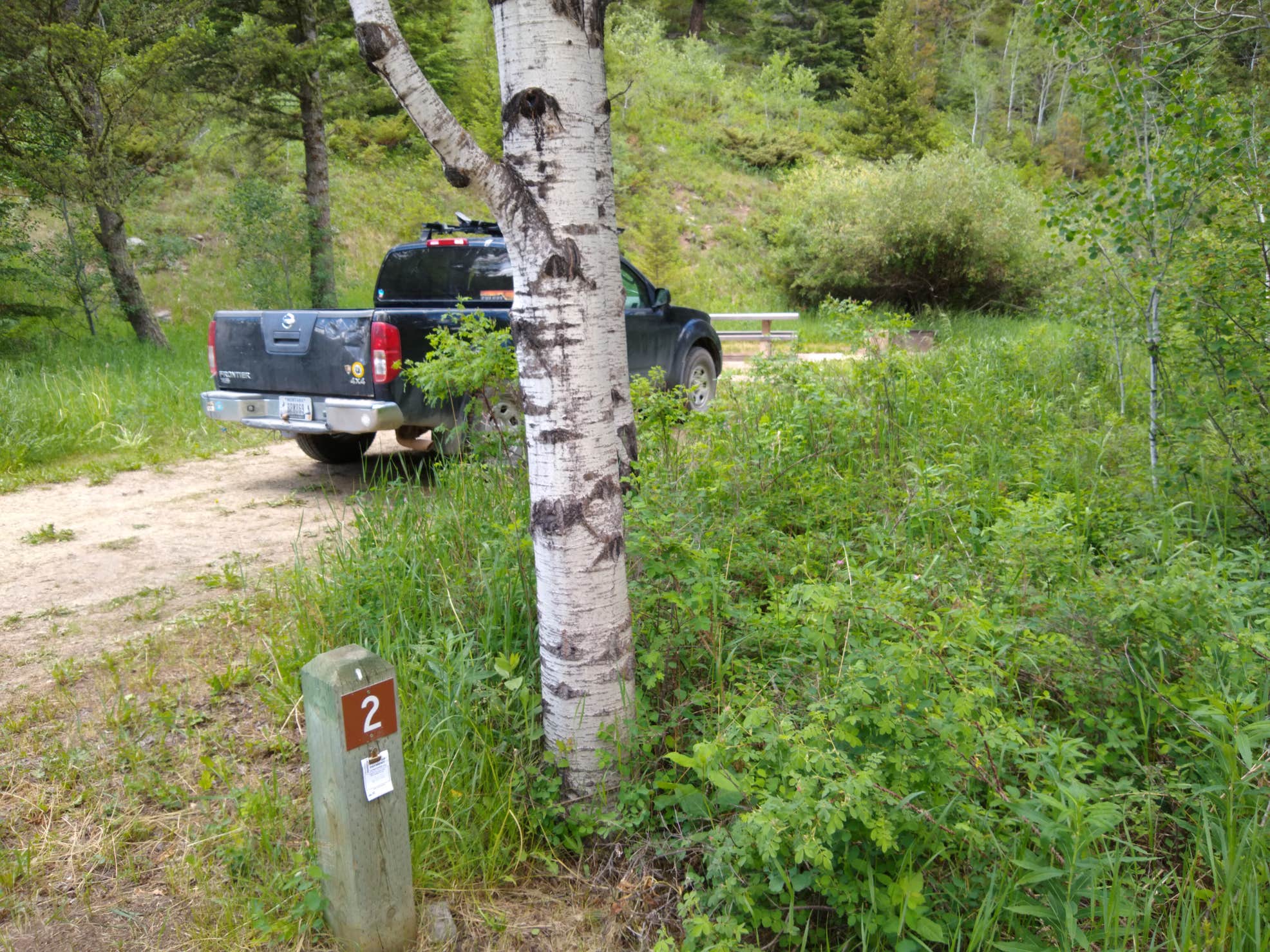 Aspen Campground The Dyrt