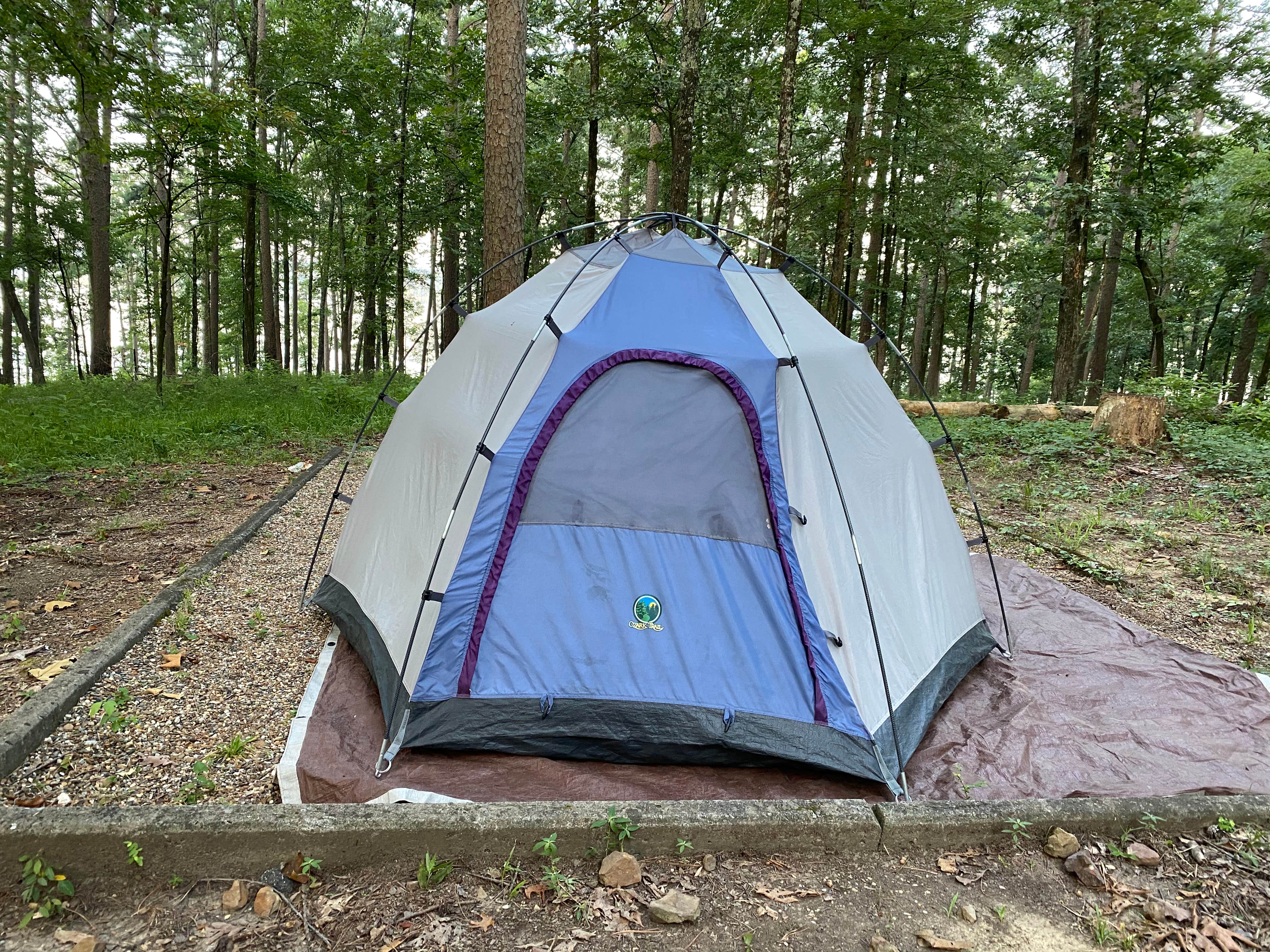 Cheri H.'s photo of tent camping at Ozan Point - De Gray Lake near Benton, AR