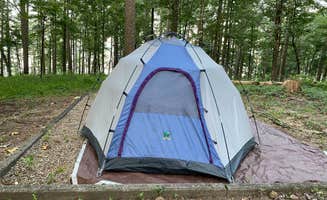 Cheri H.'s photo at Ozan Point - De Gray Lake near Chidester, AR