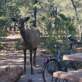 Review photo of Mather Campground — Grand Canyon National Park by Mary S., June 13, 2018