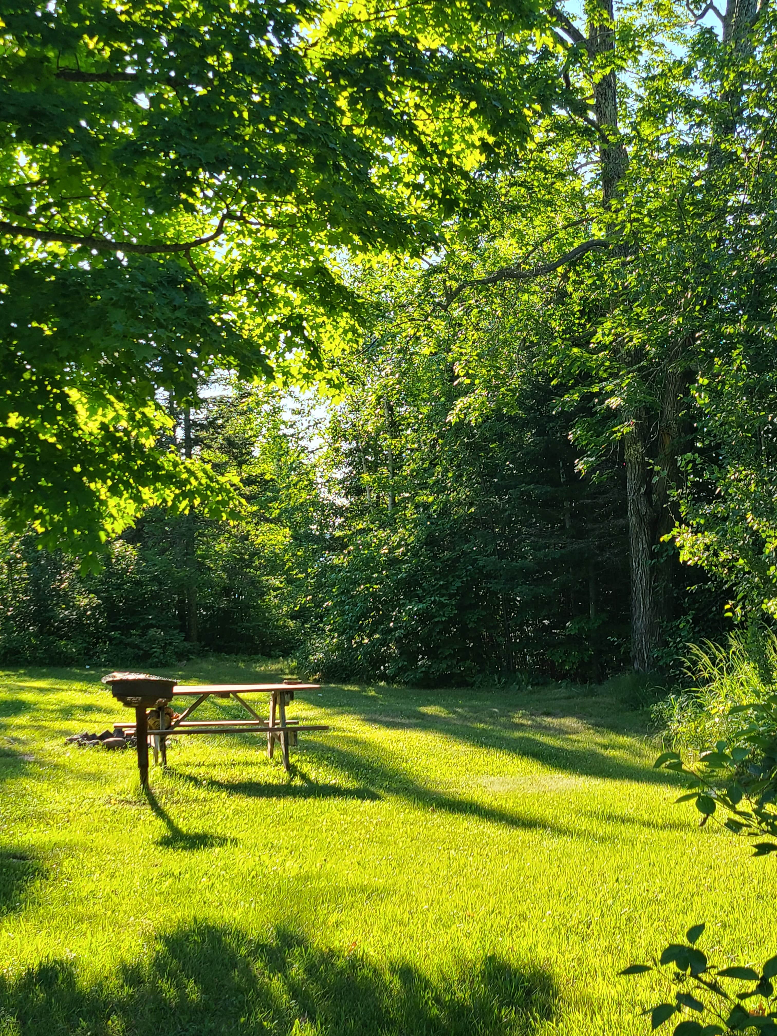 Camper-submitted photo at Point Detour Wilderness Campground near Apostle Islands National Lakeshore