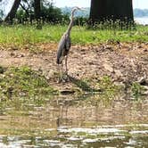 Review photo of Indian Lake State Park Campground by Josh H., July 9, 2021