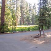 Review photo of Sunset Campground — Kings Canyon National Park by Darrin L., July 18, 2016