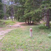 Review photo of Many Pines Campground by Dexter I., July 9, 2021