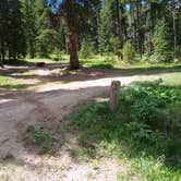 Review photo of Many Pines Campground by Dexter I., July 9, 2021