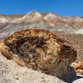 Review photo of Holbrook/Petrified Forest KOA by Jason J., July 9, 2021