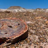 Review photo of Holbrook/Petrified Forest KOA by Jason J., July 9, 2021