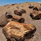 Review photo of Holbrook/Petrified Forest KOA by Jason J., July 9, 2021