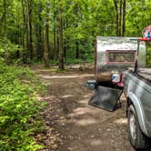 Review photo of Blueberry Patch Campground — Green Mountain & Finger Lakes National Forests by Shari  G., June 13, 2018