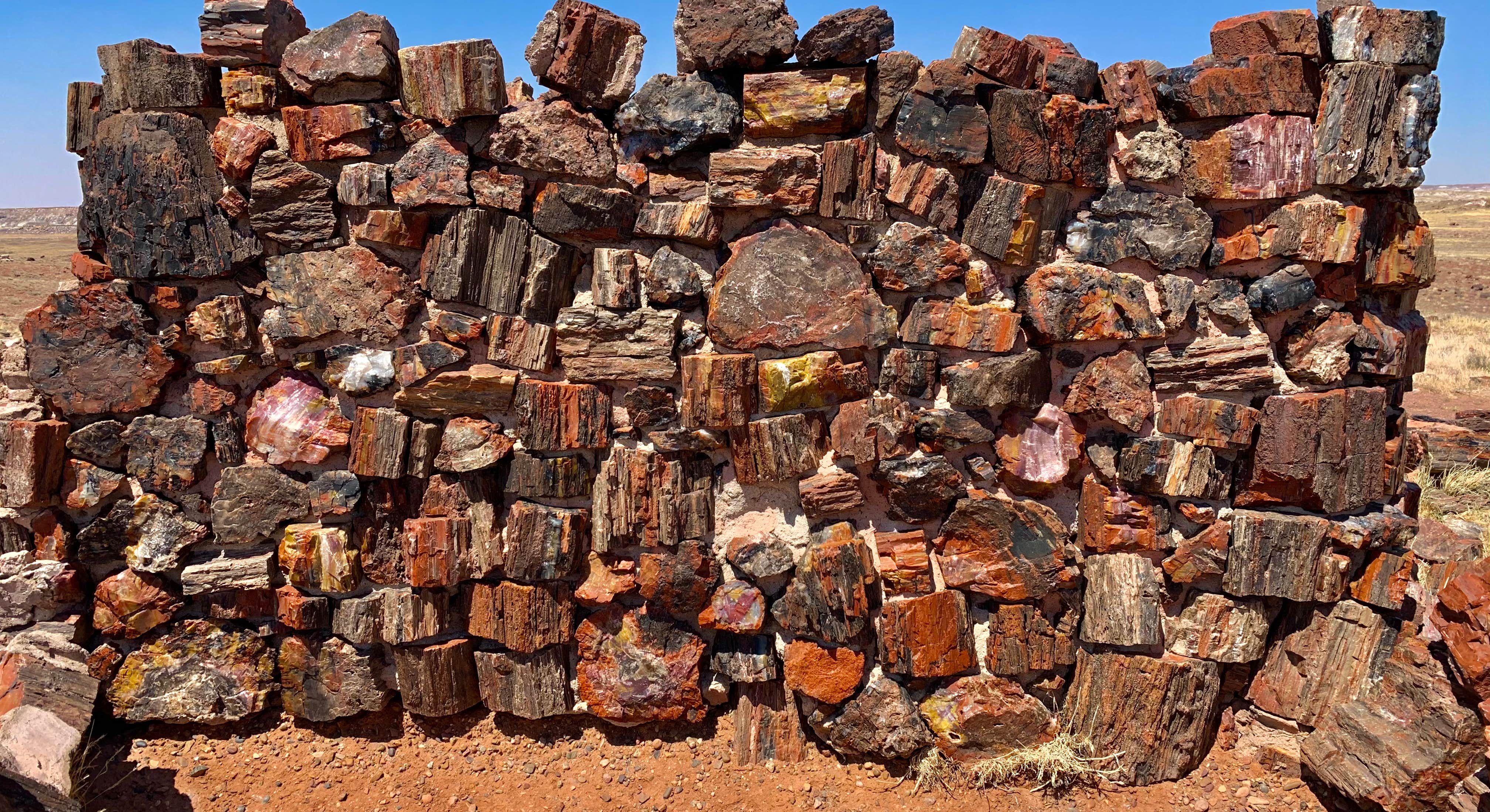Petrified Wood Wall Picture near Holbrook/Petrified Forest KOA in Petrified Forest National Park