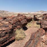 Review photo of Holbrook/Petrified Forest KOA by Jason J., July 9, 2021