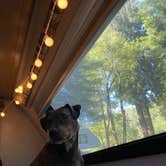 Review photo of Giant Redwoods RV & Cabin Destination by Colleen E., July 9, 2021