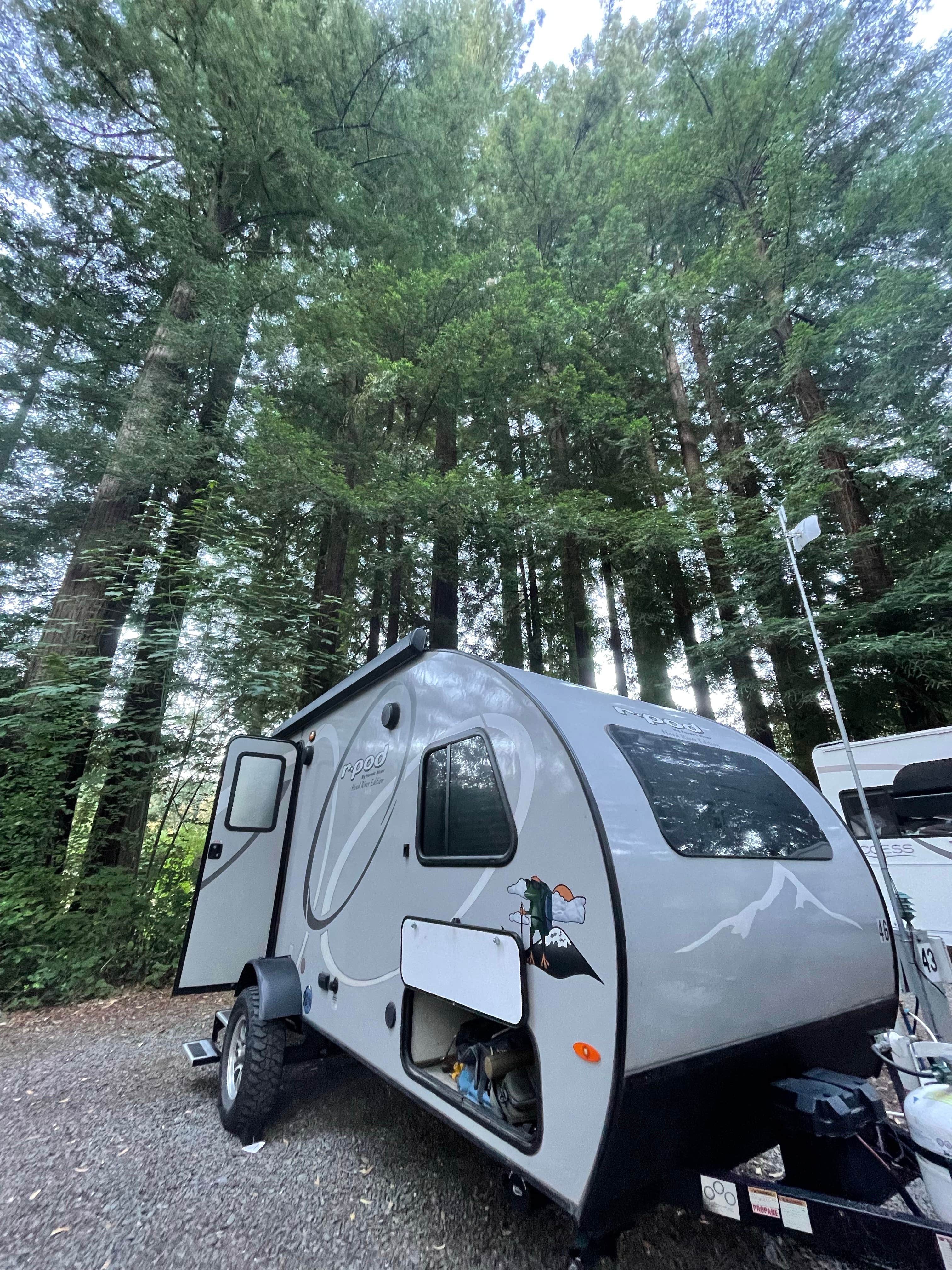 Colleen E.'s photo at Giant Redwoods RV & Cabin Destination near Garberville, CA