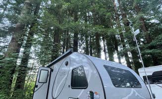 Colleen E.'s photo at Giant Redwoods RV & Cabin Destination near Phillipsville, CA