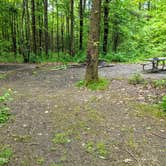 Review photo of Blueberry Patch Campground — Green Mountain & Finger Lakes National Forests by Shari  G., June 13, 2018