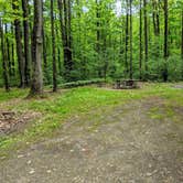 Review photo of Blueberry Patch Campground — Green Mountain & Finger Lakes National Forests by Shari  G., June 13, 2018