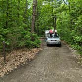 Review photo of Blueberry Patch Campground — Green Mountain & Finger Lakes National Forests by Shari  G., June 13, 2018