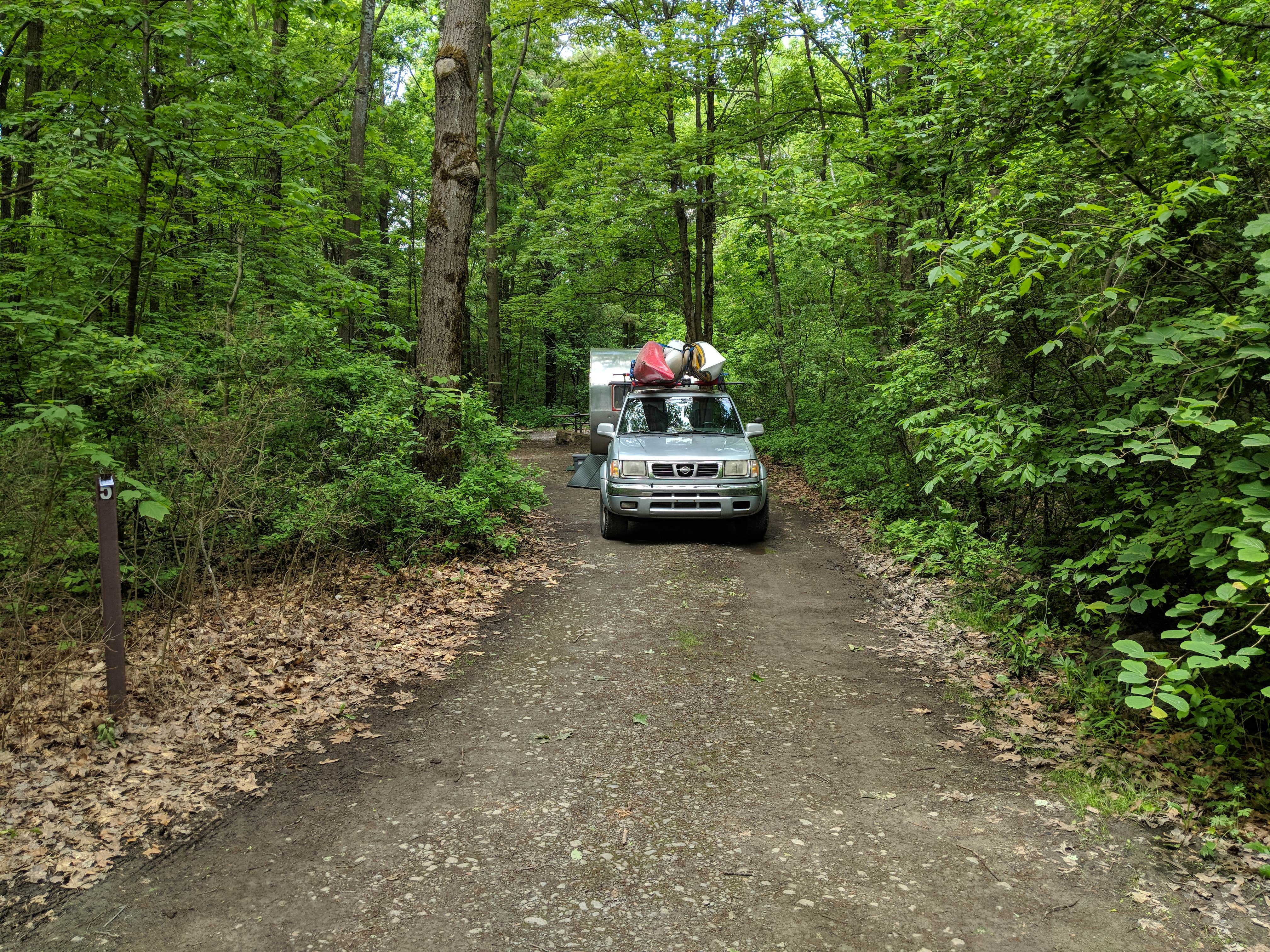 Camper submitted image from Blueberry Patch Campground — Green Mountain & Finger Lakes National Forests - 5